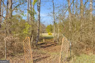 226 History Trl, Winterville, GA 30683 - Photo 48