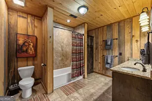 904 Raccoon Rd, Blue Ridge, GA 30513 - Photo 66