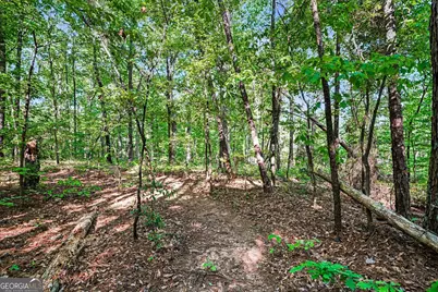 0 Ham Road, Jackson, GA 30233 - Photo 1
