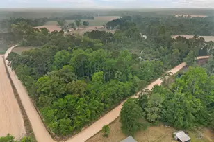 565 Bragg Rd, Brooklet, GA 30415 - Photo 42