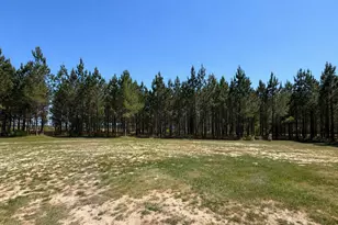 210 St Galilee Rd, Swainsboro, GA 30401 - Photo 16
