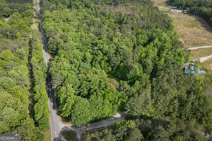 20 Clark Hill Rd, Newnan, GA 30263 - Photo 30