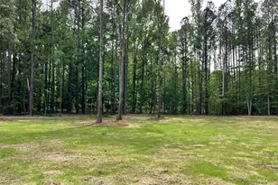 3341 E Hwy 16, Sharpsburg, GA 30277 - Photo 26