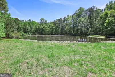 143 Cedar Creek Road, Newnan, GA 30263 - Photo 46