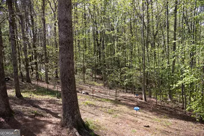 249 Boca Hills Road, Sautee Nacoochee, GA 30571 - Photo 26