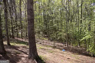 249 Boca Hills Rd, Sautee Nacoochee, GA 30571 - Photo 26
