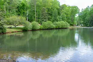 86 Armor Way N, Ellijay, GA 30540 - Photo 54