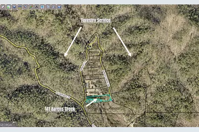 141 Barnes Creek Drive, Ellijay, GA 30540 - Photo 4
