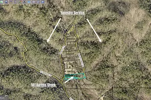 141 Barnes Crk Dr, Ellijay, GA 30540 - Photo 4