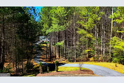 620 Foxpaw Leaf Lane, Ellijay, GA 30536 - Photo 62