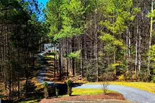 620 Fox Paw Leaf Ln, Ellijay, GA 30536 - Photo 62