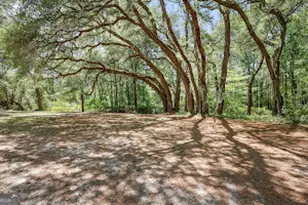 321 Anderson Rd, Statesboro, GA 30458 - Photo 2