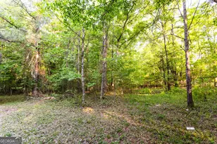 2443 Hodges Farm Rd, Mansfield, GA 30055 - Photo 32