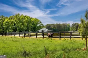 901 Line Creek Rd, Senoia, GA 30276 - Photo 2
