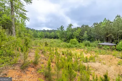 51 Paul Harris Road, Dallas, GA 30157 - Photo 8