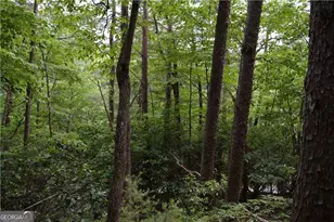 20 Goldmine Dr, Ellijay, GA 30536 - Photo 6