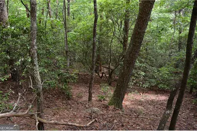 20 Goldmine Drive, Ellijay, GA 30536 - Photo 8