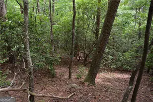 20 Goldmine Dr, Ellijay, GA 30536 - Photo 8