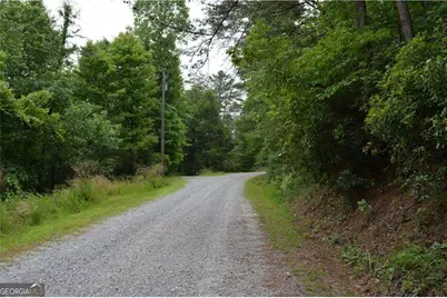 20 Goldmine Drive, Ellijay, GA 30536 - Photo 4