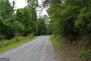 20 Goldmine Dr, Ellijay, GA 30536 - Photo 4