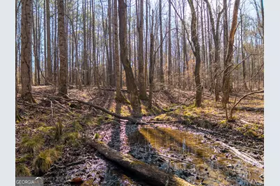 0 E Carroll Road, Winston, GA 30187 - Photo 6