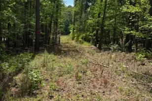 580 Dutchman Rd, Griffin, GA 30223 - Photo 1