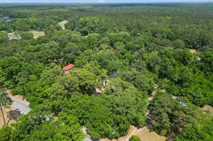 674 Dunlevie Rd, Allenhurst, GA 31301 - Photo 40
