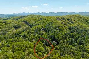 288 Kimbolton Dr, Morganton, GA 30560 - Photo 60