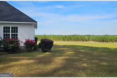 176 Turner Lane, Dudley, GA 31022 - Photo 26