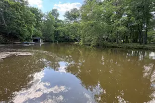 165 Dollar Rd, Hamilton, GA 31811 - Photo 8