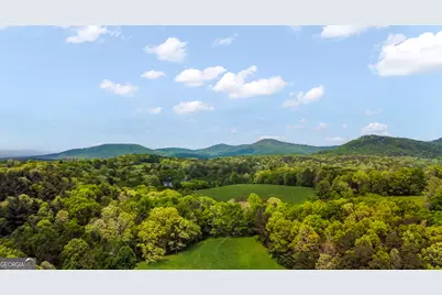 233 Ivy Ridge, Ellijay, GA 30536 - Photo 2