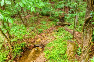 787 Glenns Dr, Sautee Nacoochee, GA 30571 - Photo 44