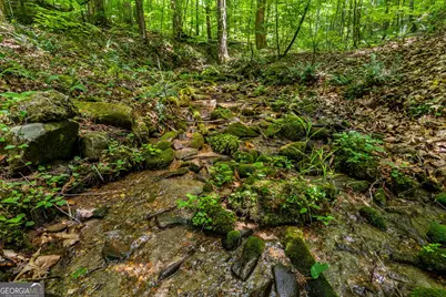 8954 Doublehead Gap Road, Blue Ridge, GA 30513 - Photo 62