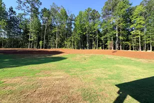 48 Arbor Springs Dr N, Newnan, GA 30263 - Photo 42