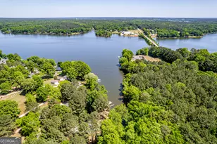 118 Hickory Point, Buckhead, GA 30625 - Photo 58