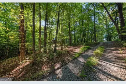 150 Laurel Trace, Blue Ridge, GA 30513 - Photo 38