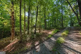 150 Laurel Trace, Blue Ridge, GA 30513 - Photo 38