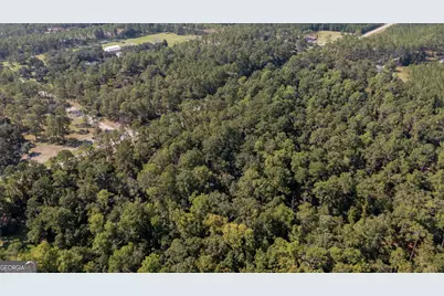 0 Highway 121 Highway, Folkston, GA 31537 - Photo 4