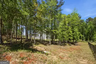 25 Timber Trce, Newnan, GA 30263 - Photo 88