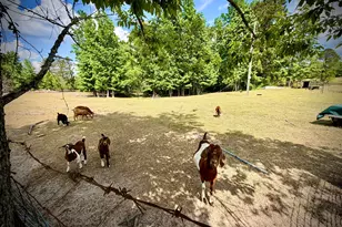 629 Bobby Fortner Rd, Kite, GA 31049 - Photo 52