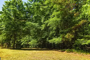 485 Natures Trail, Forsyth, GA 31029 - Photo 98