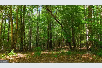 485 Natures Trail, Forsyth, GA 31029 - Photo 96