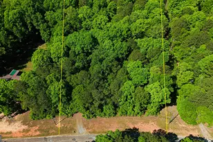 485 Natures Trail, Forsyth, GA 31029 - Photo 118