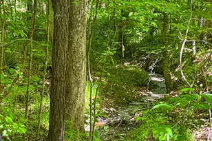 485 Natures Trail, Forsyth, GA 31029 - Photo 108
