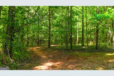 485 Natures Trail, Forsyth, GA 31029 - Photo 94