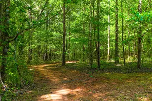 485 Natures Trail, Forsyth, GA 31029 - Photo 94
