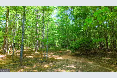 485 Natures Trail, Forsyth, GA 31029 - Photo 100