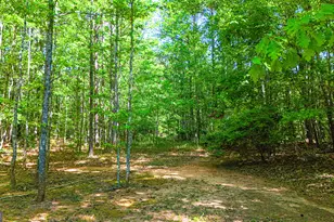 485 Natures Trail, Forsyth, GA 31029 - Photo 100