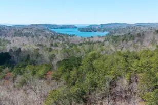 56 Carters View Ln, Ellijay, GA 30540 - Photo 24