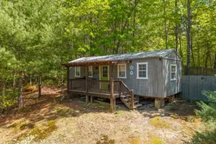955 Mull Dr, Mineral Bluff, GA 30559 - Photo 48